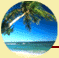 playa.gif (2527 bytes)