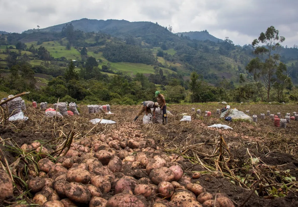 Colombian Food Guide: Latin American Dishes Worth Trying