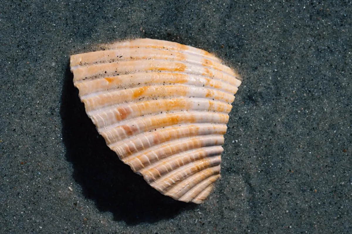 Where to Find beaches in Matanzas